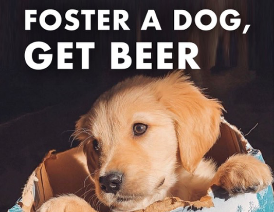 Busch is Offering Three Months of Free Beer for Dog Adoptions